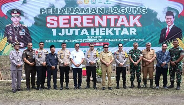 Dukung Swasembada Pangan, Lombok Timur Sediakan Lahan 4,5 Hektare untuk Penanaman Jagung