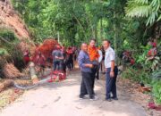 Tim Bencana Hidrometeorologi Gerak Cepat Buka Akses Jalan yang Tertutup Longsor