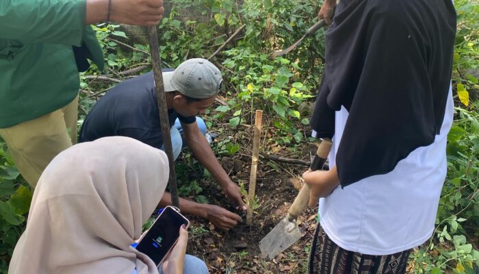 Mahasiswa KKN Bina Desa UNHAM Tanam 1000 Pohon di Jerowaru