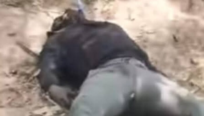 Mayat Diduga Anggota Polri Ditemukan di Bukit Lembar, Polisi Masih Dalami Penyebab Kematian