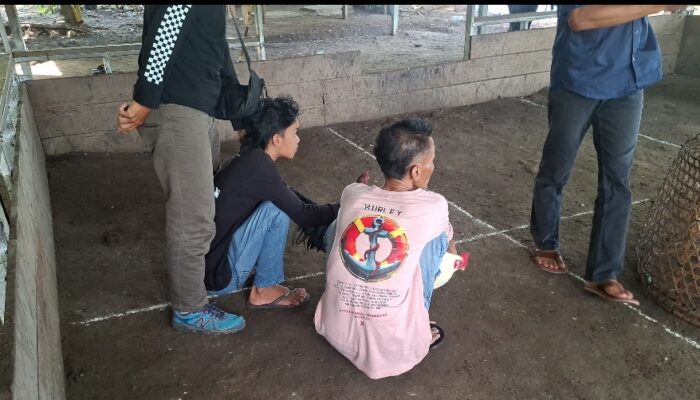 Polres Lotim Gerebek Sabung Ayam di Keruak